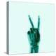 X-Ray of Hand Doing Peace Sign-null-Premier Image Canvas