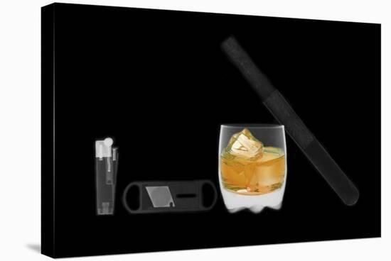 X-ray of Whiskey And Cigar-null-Premier Image Canvas