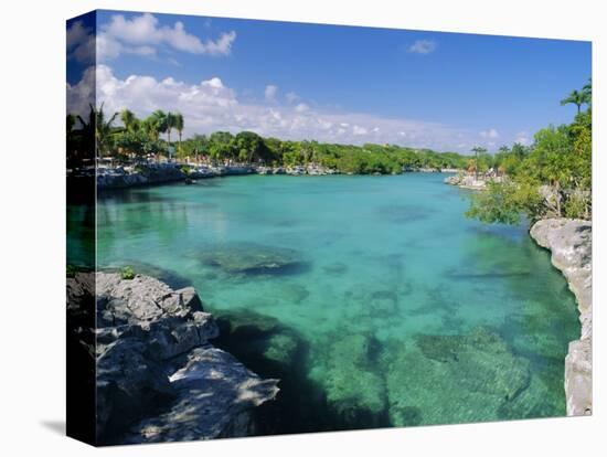 Xel-Ha Lagoon National Park, Yucatan Coast, Mexico, Central America-Gavin Hellier-Premier Image Canvas