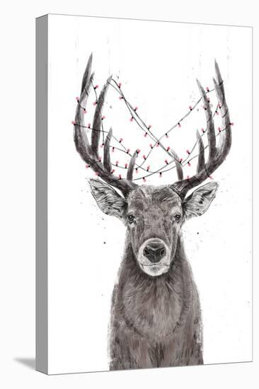 Xmas Deer-Balazs Solti-Premier Image Canvas