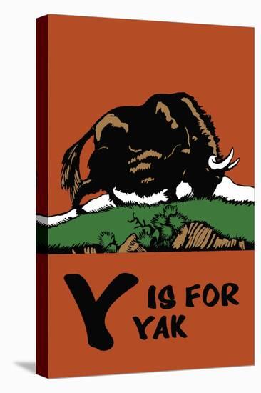 Y is for Yak-Charles Buckles Falls-Stretched Canvas