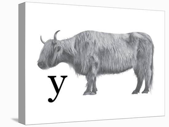 Y is for Yak-Stacy Hsu-Stretched Canvas