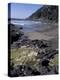 Yachats, Cape Cove, Cape Perpetua Scenic Area, Oregon, USA-Connie Ricca-Premier Image Canvas