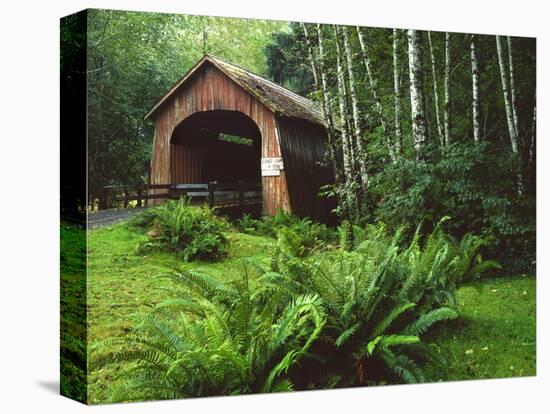 Yachats River Covered Bridge in Siuslaw National Forest, North Fork, Oregon, USA-Steve Terrill-Premier Image Canvas