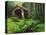Yachats River Covered Bridge in Siuslaw National Forest, North Fork, Oregon, USA-Steve Terrill-Premier Image Canvas