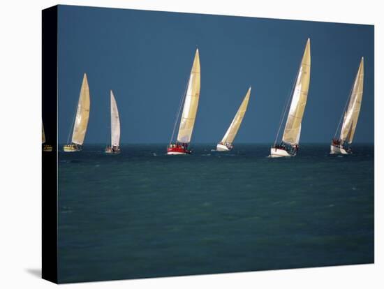 Yacht Race Florida, USA-null-Premier Image Canvas