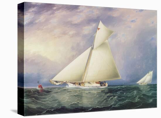Yacht Race in New York Harbor-James E^ Buttersworth-Stretched Canvas