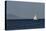 Yacht. Sailing Boat. Sailboat White Sail Boat between Blue Sky and Dark Blue Sea. an Island on Fore-PROtoys-Premier Image Canvas