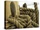 Yachting. Parts of Yacht. Nautical Ship Rope.-Voy-Premier Image Canvas