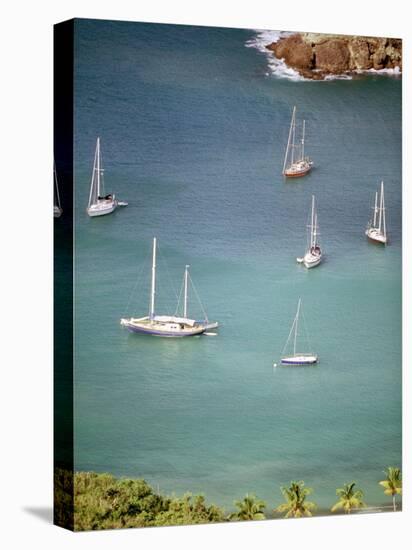 Yachts Anchor in British Harbor, Antigua, Caribbean-Alexander Nesbitt-Premier Image Canvas