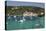 Yachts anchored in bay, Lakka, Paxos, Ionian Islands, Greek Islands, Greece, Europe-Stuart Black-Premier Image Canvas