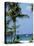 Yachts and Palms, Barbados, West Indies, Caribbean, Central America-J Lightfoot-Premier Image Canvas