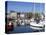 Yachts, the Barbican, Plymouth, Devon, England, United Kingdom, Europe-Jeremy Lightfoot-Premier Image Canvas