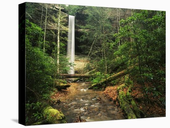 Yahoo Falls, Big South Fork National River and Recreation Area, Kentucky, USA-Adam Jones-Premier Image Canvas