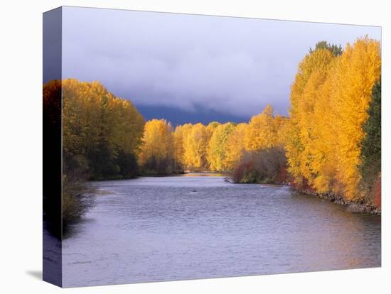 Yakima River and Trees in Autumn, Near Cle Elum, Kittitas County, Washington, USA-Jamie & Judy Wild-Premier Image Canvas