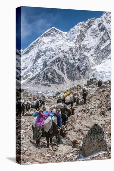 Yaks and herders on a trail to Everest Base Camp.-Lee Klopfer-Premier Image Canvas