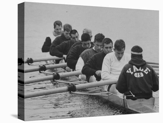 Yale Crew Rowing During Training-null-Premier Image Canvas
