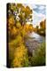 Yampa River in autumn.-Larry Ditto-Premier Image Canvas