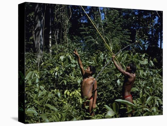 Yanomami Indian Hunters, Amazonas, Venezuela-null-Premier Image Canvas