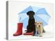 Yellow and Chocolate Retriever Pups with Wellies under a Blue Umbrella-Jane Burton-Premier Image Canvas