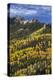 Yellow and Orange Aspens with Evergreens in the Fall-James Hager-Premier Image Canvas
