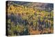 Yellow and Orange Hillside of Aspen in the Fall, Uncompahgre National Forest, Colorado, Usa-James Hager-Premier Image Canvas