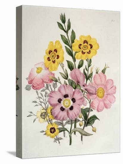 Yellow and Pink Mixed Flowers-Edward Burne-Jones-Premier Image Canvas