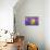 Yellow and purple forms of Mountain Pansy, UK-Alex Hyde-Premier Image Canvas displayed on a wall