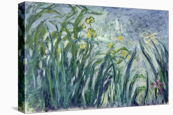 Yellow and Purple Irises, 1924-25-Claude Monet-Premier Image Canvas