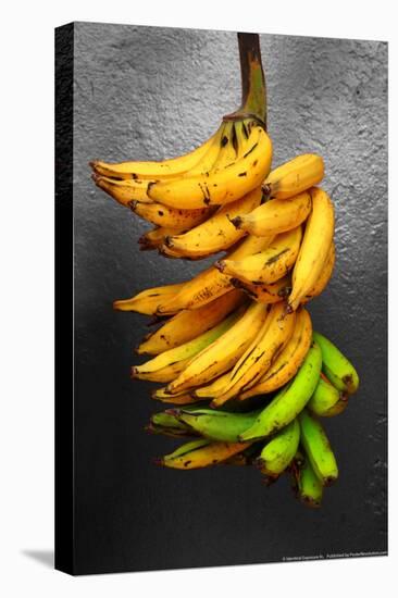 Yellow Bananas-null-Stretched Canvas