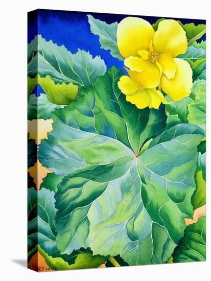 Yellow Begonia, 2019 (Watercolour on Paper)-Christopher Ryland-Premier Image Canvas