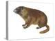 Yellow-Bellied Marmot (Marmota Flaviventris), Mammals-Encyclopaedia Britannica-Stretched Canvas