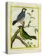 Yellow-Billed Grosbeak and Yellow-Green Grosbeak-Georges-Louis Buffon-Premier Image Canvas