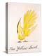 Yellow Bird-Edward Lear-Premier Image Canvas