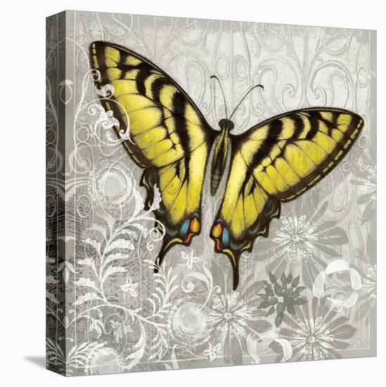 Yellow Butterfly-Alan Hopfensperger-Stretched Canvas