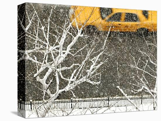 Yellow cab on Park Avenue in a snowstorm-Bo Zaunders-Premier Image Canvas