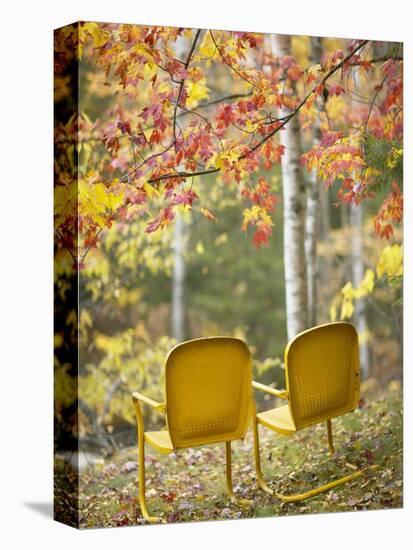 Yellow Chairs and Fall Foliage-Owaki - Kulla-Premier Image Canvas