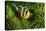 Yellow Clownfish On Green Anemon-Barathieu Gabriel-Stretched Canvas