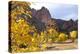 Yellow Colorado-duallogic-Premier Image Canvas