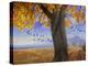 Yellow Cottonwood-Chris Vest-Premier Image Canvas