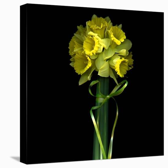 Yellow Daffodil Bouquet-Magda Indigo-Premier Image Canvas