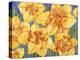 Yellow Daffodils-Mary Russel-Premier Image Canvas