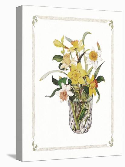 Yellow Daffodils-unknown Capello-Stretched Canvas