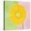 Yellow Daisy-Dona Turner-Stretched Canvas