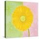 Yellow Daisy-Dona Turner-Stretched Canvas