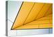 Yellow Dart-Linda Wride-Premier Image Canvas