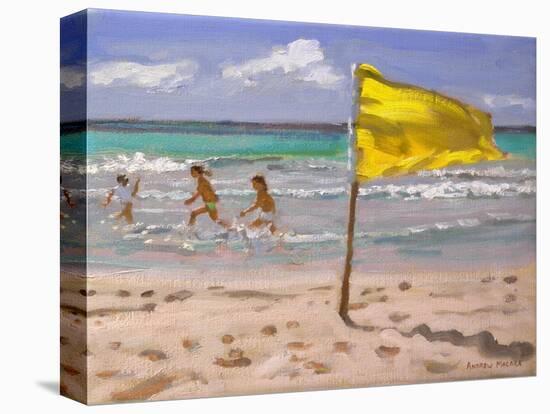 Yellow Flag, Barbados, 2010-Andrew Macara-Premier Image Canvas