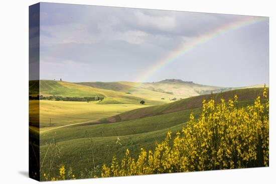 Yellow flowers and rainbow frame the green hills of Crete Senesi (Senese Clays), Province of Siena,-Roberto Moiola-Premier Image Canvas