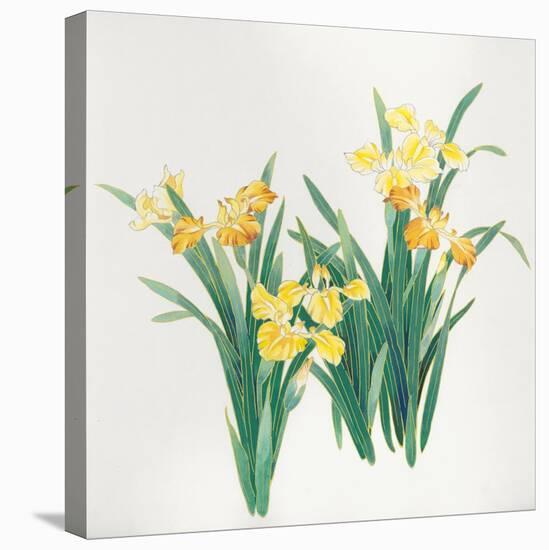 Yellow Flowers-Haruyo Morita-Stretched Canvas