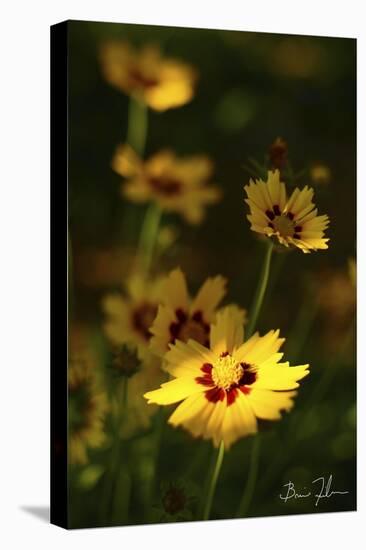 Yellow Flowers-5fishcreative-Premier Image Canvas